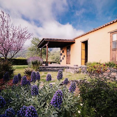 ティハラフェ Casa Elenaヴィラ エクステリア 写真