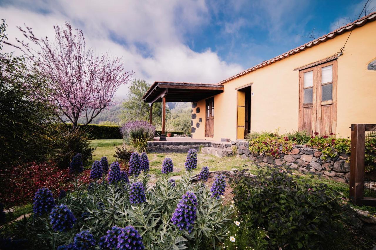 ティハラフェ Casa Elenaヴィラ エクステリア 写真